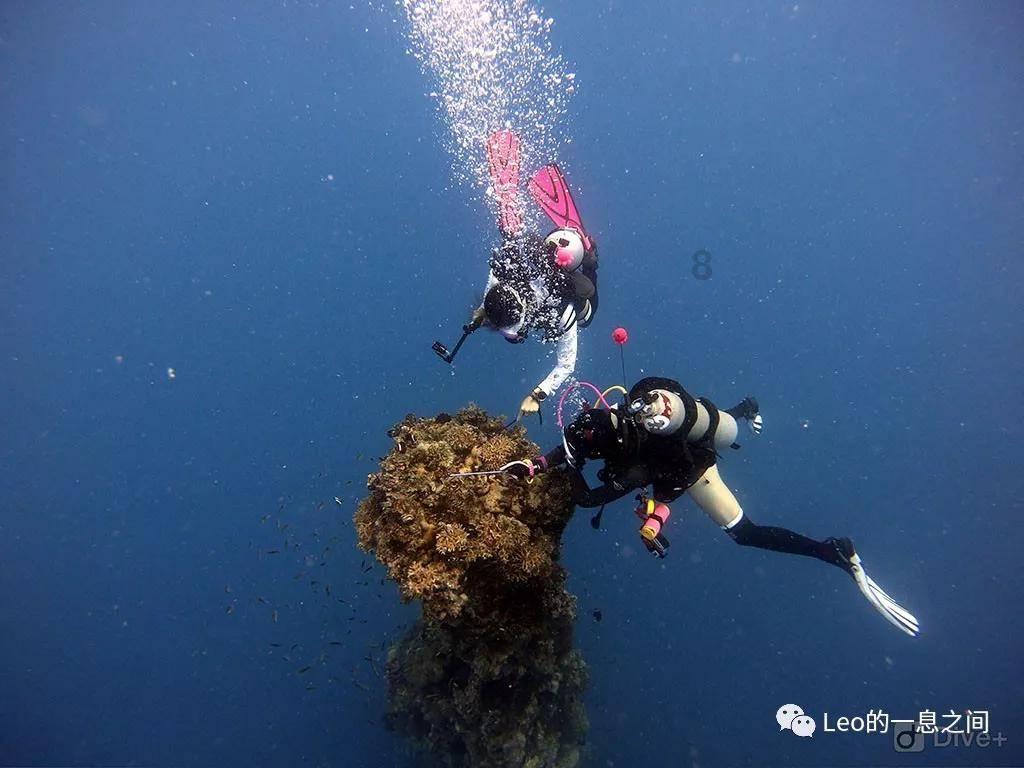 海底世界填颜色3